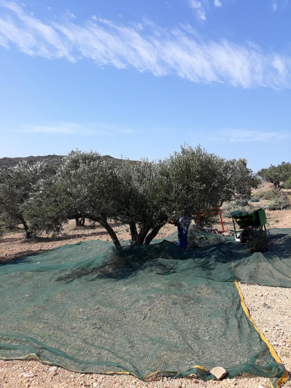 Vilana Studios Kalamos  Bagian luar foto