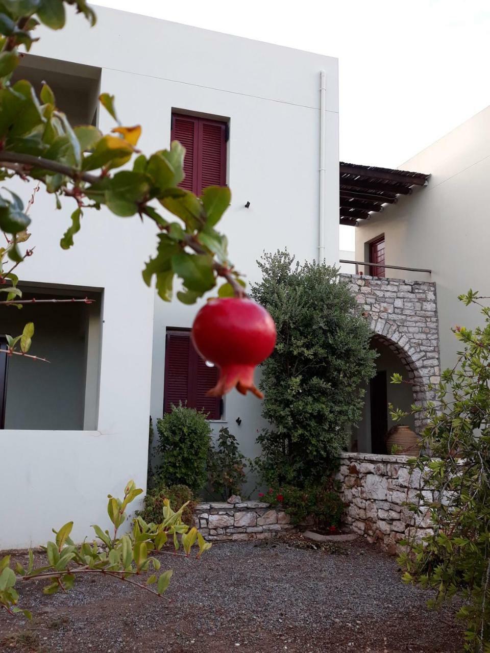 Vilana Studios Kalamos  Bagian luar foto